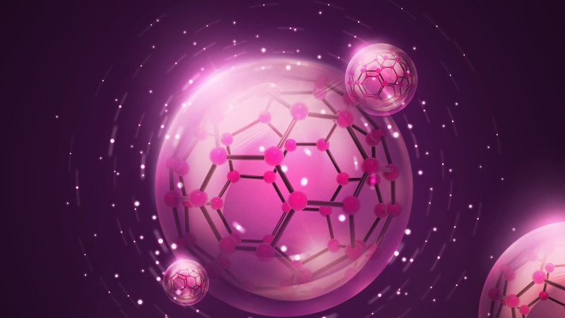 酵素与酶：减肥辅助工具的理性选择