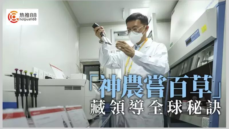 上海生物医药外包人才公司：如何选择合适的合作伙伴**