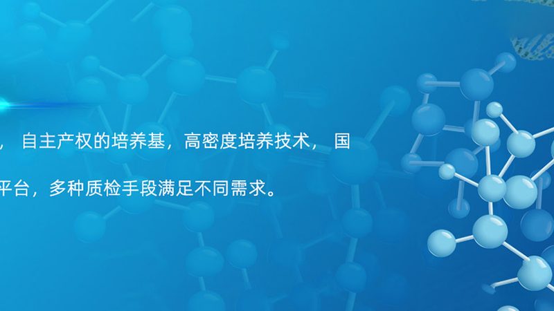 生物医药外包参数与规格：揭秘关键指标与选型逻辑**