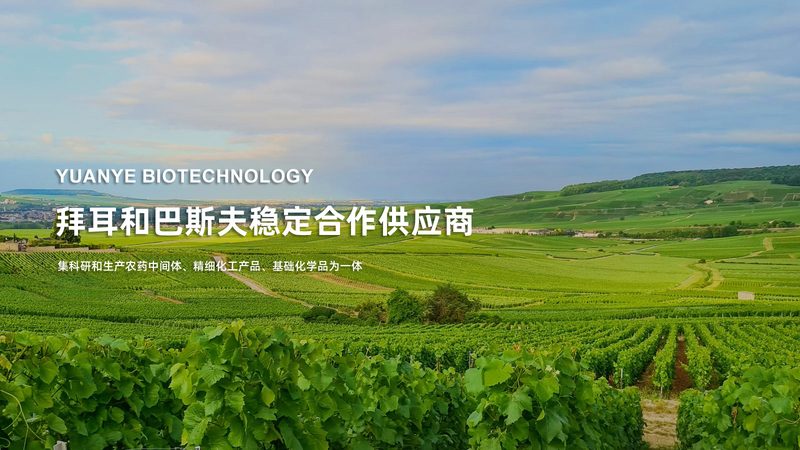 抗体药物生产企业排名：揭秘行业实力与趋势