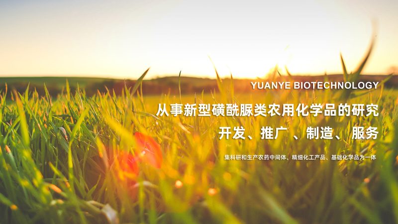 抗体产品质检报告，这些关键点不能忽视**