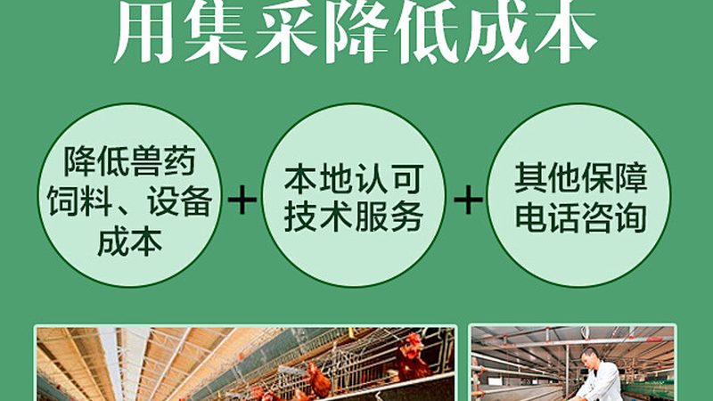 医药CDMO技术平台：参数对比，揭秘其核心竞争力