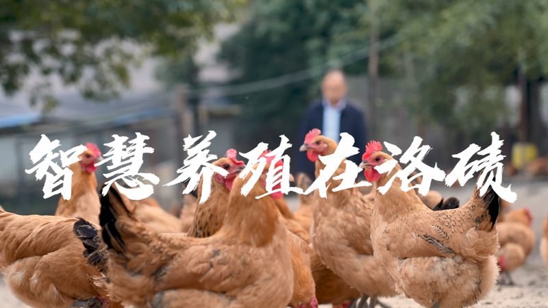 生物实验室耗材选对，实验成功一半**