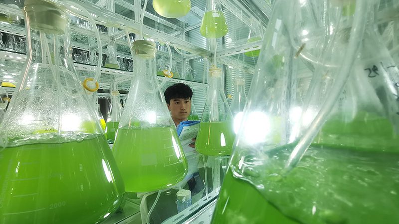 酵素与酶：北京市场选购指南，避开误区，科学选择